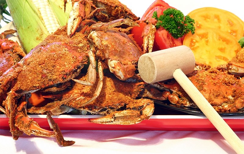 steamed maryland crabs